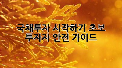 국채투자 시작하기: 초보 투자자 안전 가이드
